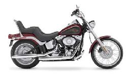 FXSTC ���եƥ��롦��������