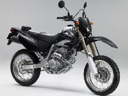 XR250�⥿����