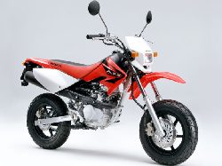 XR50�⥿����