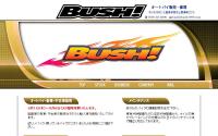 ブッシュ(BUSH)