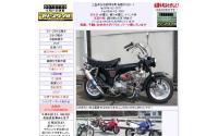 FREE STYLE