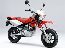 XR100モタード