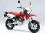 XR50�⥿����