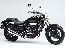 ELIMINATOR-250V